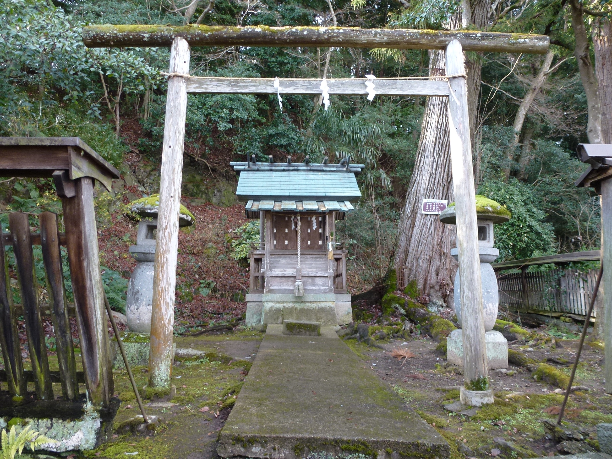 P1020037.JPG