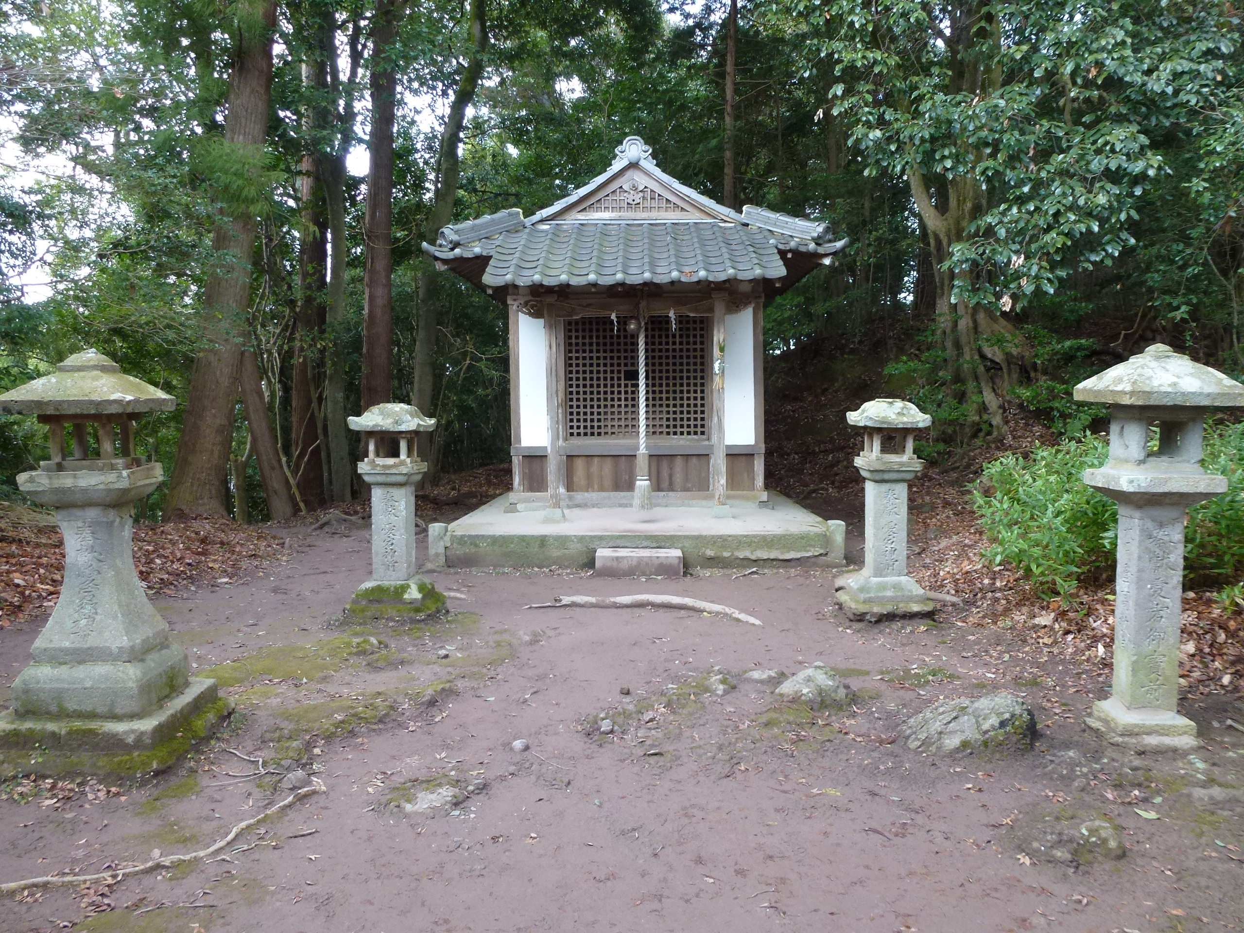 P1020039.JPG