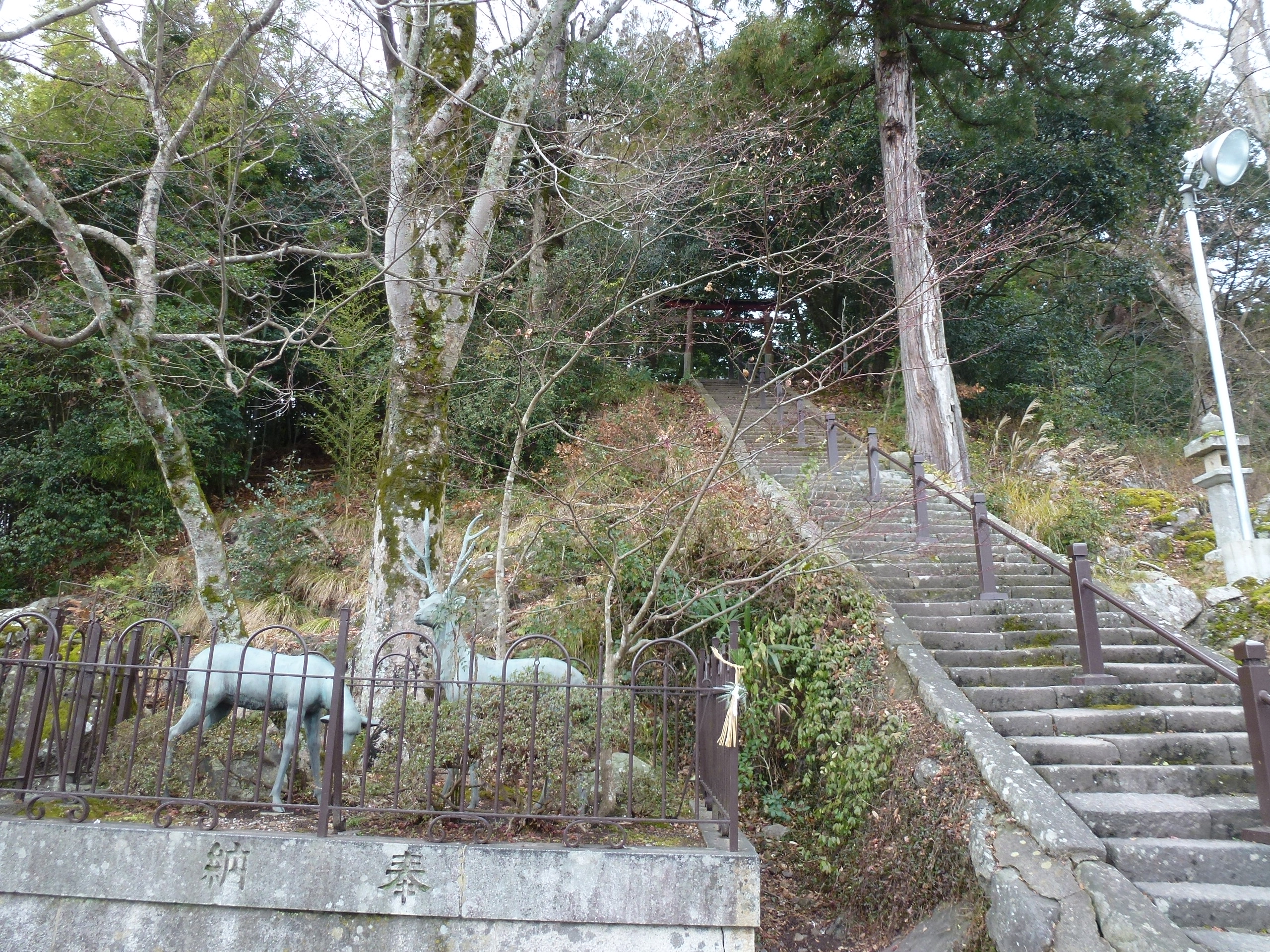 P1020040.JPG
