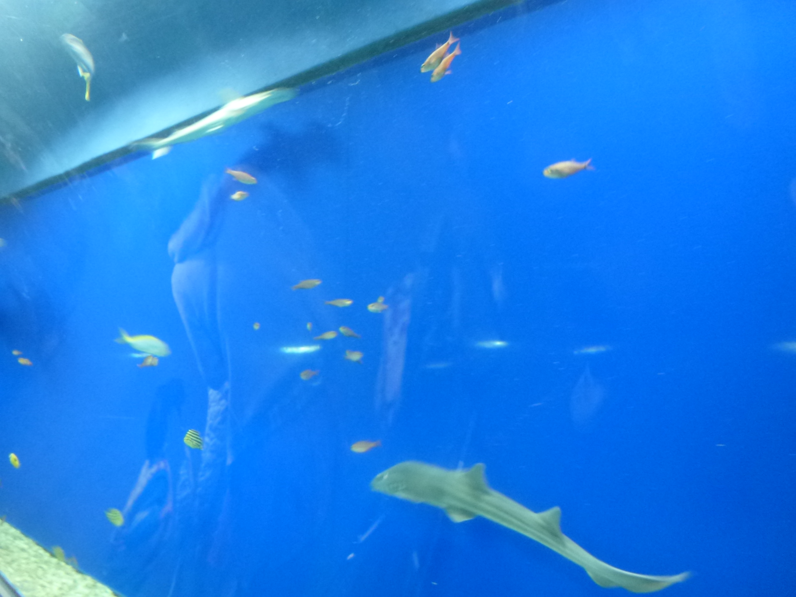 P1020416.JPG
