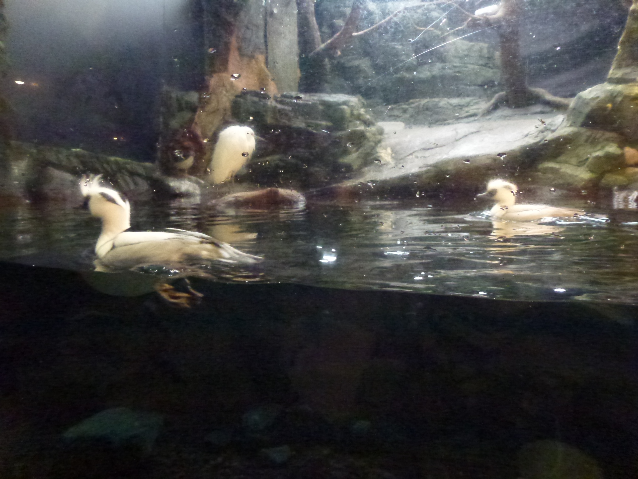 P1020420.JPG