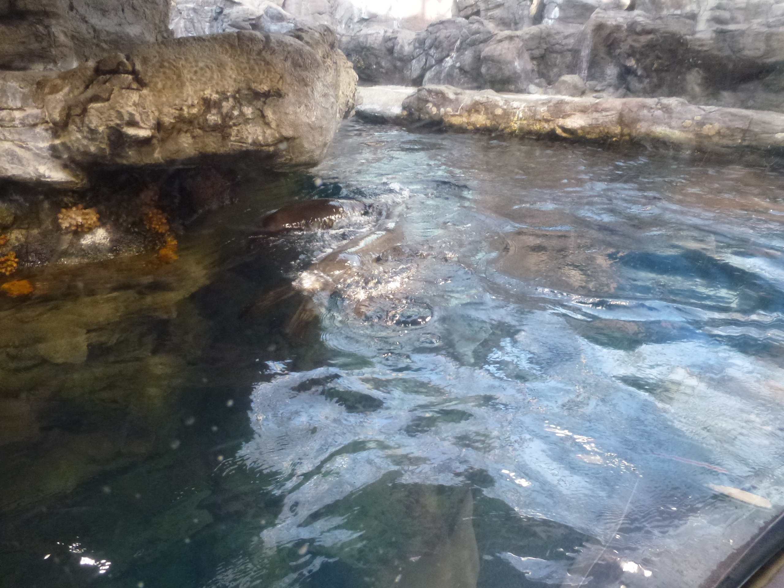 P1020432.JPG