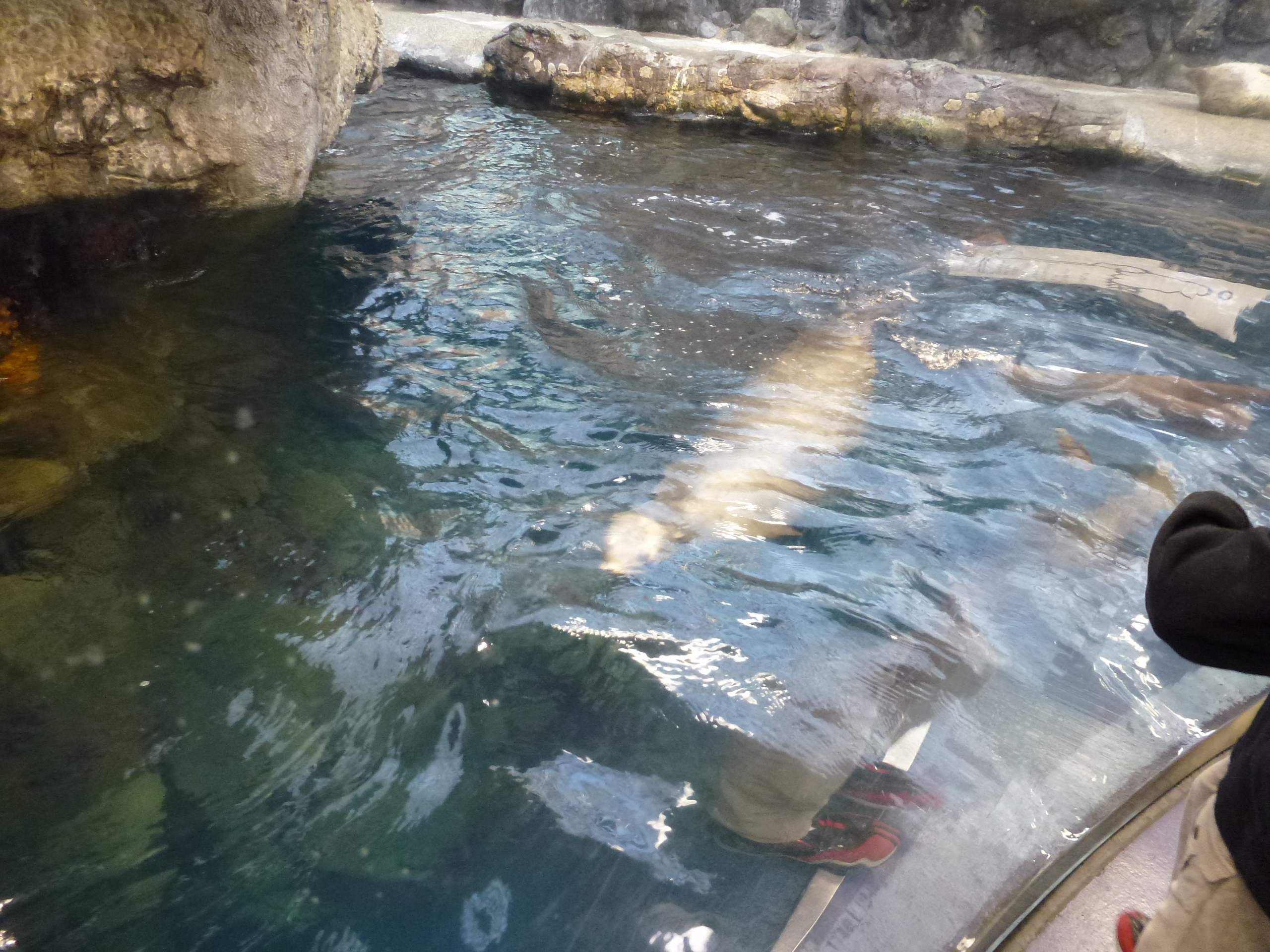 P1020436.JPG