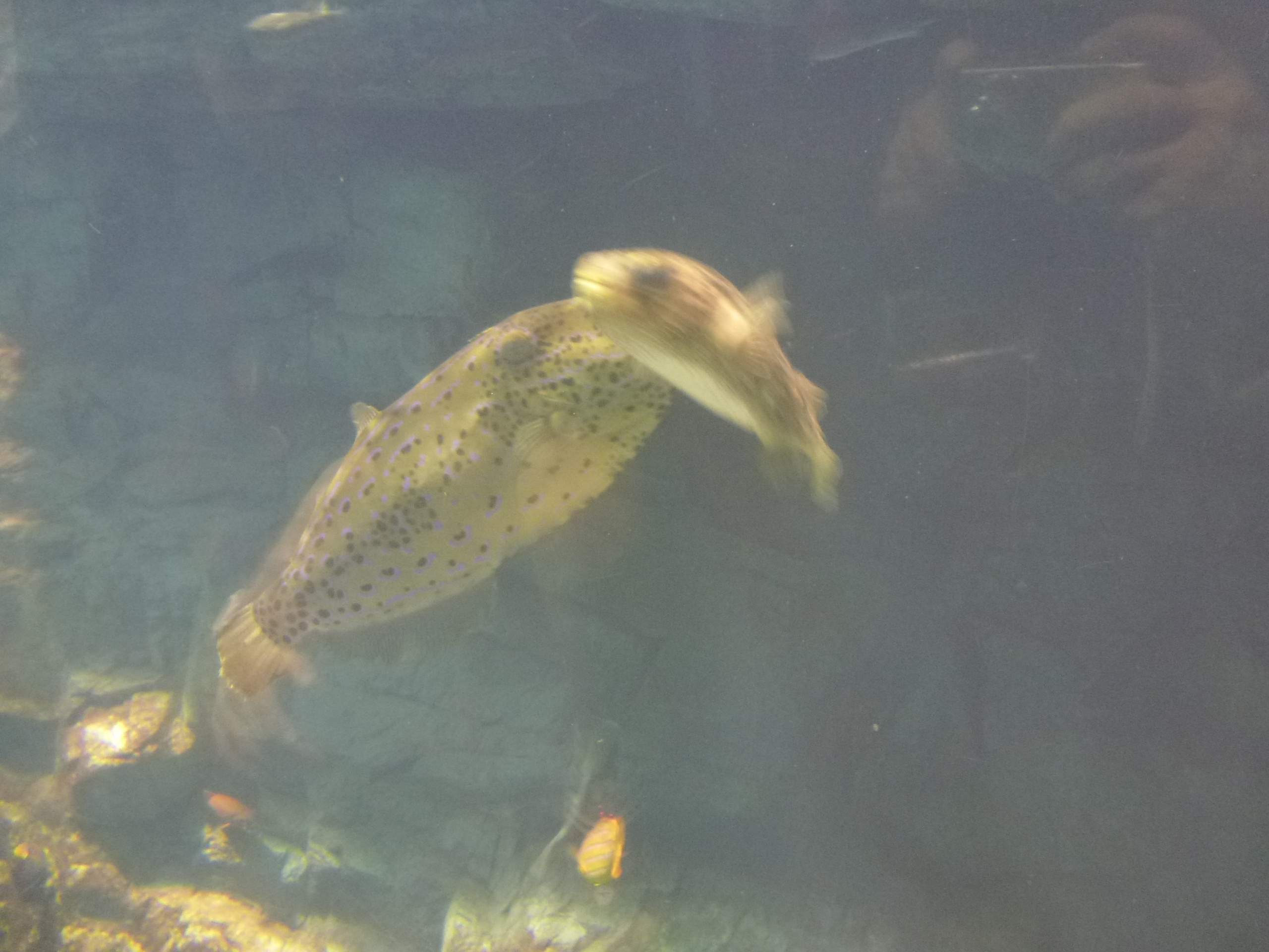 P1020440.JPG