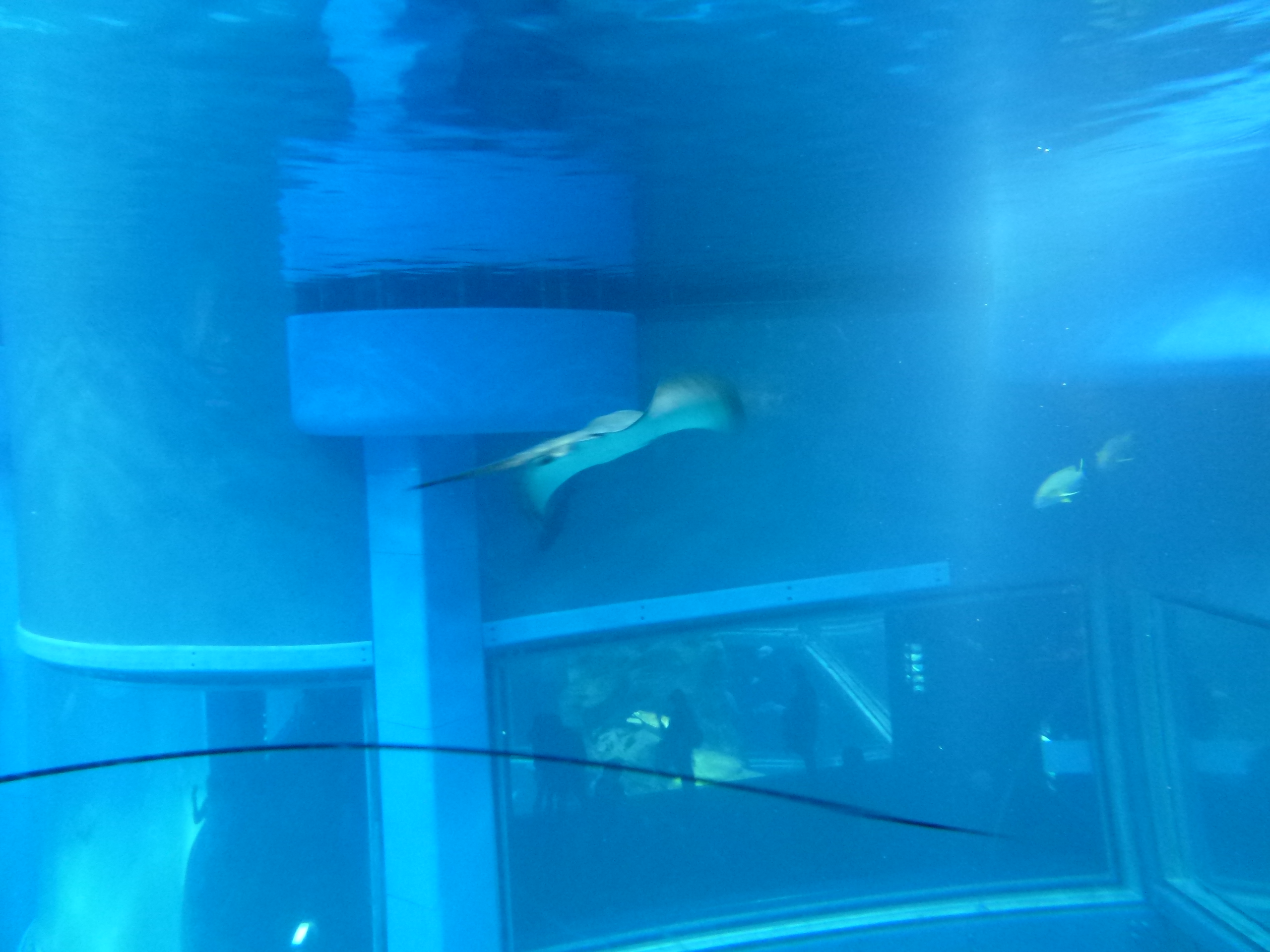 P1020463.JPG