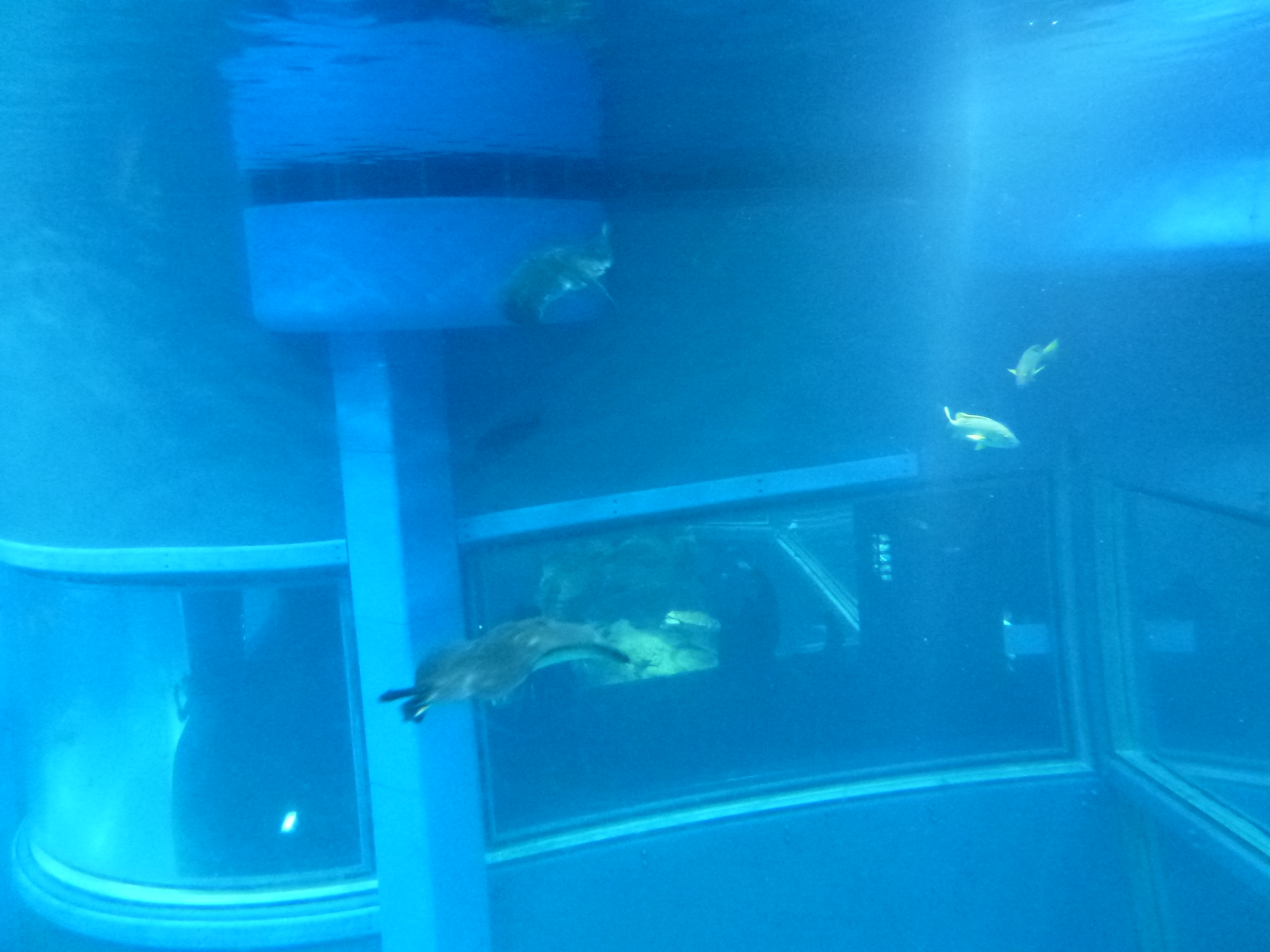 P1020464.JPG
