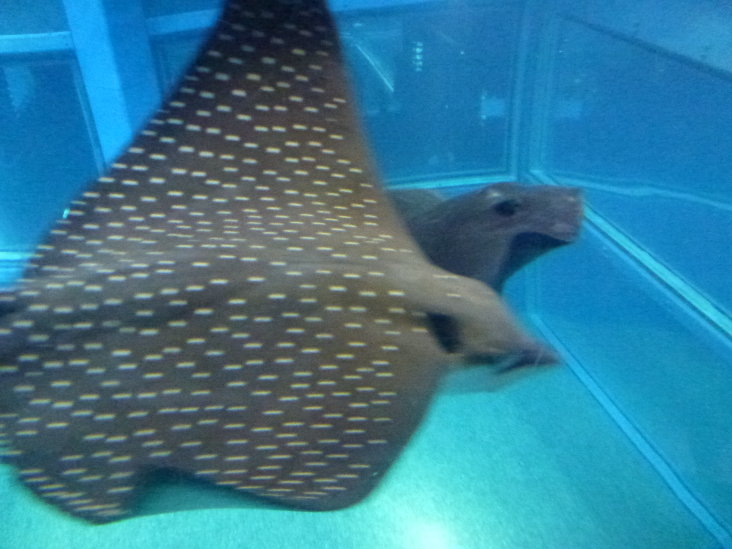 P1020465.JPG