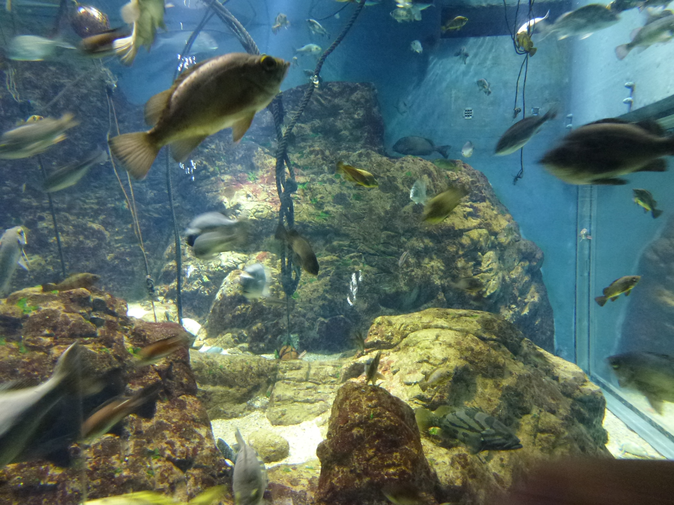P1020471.JPG