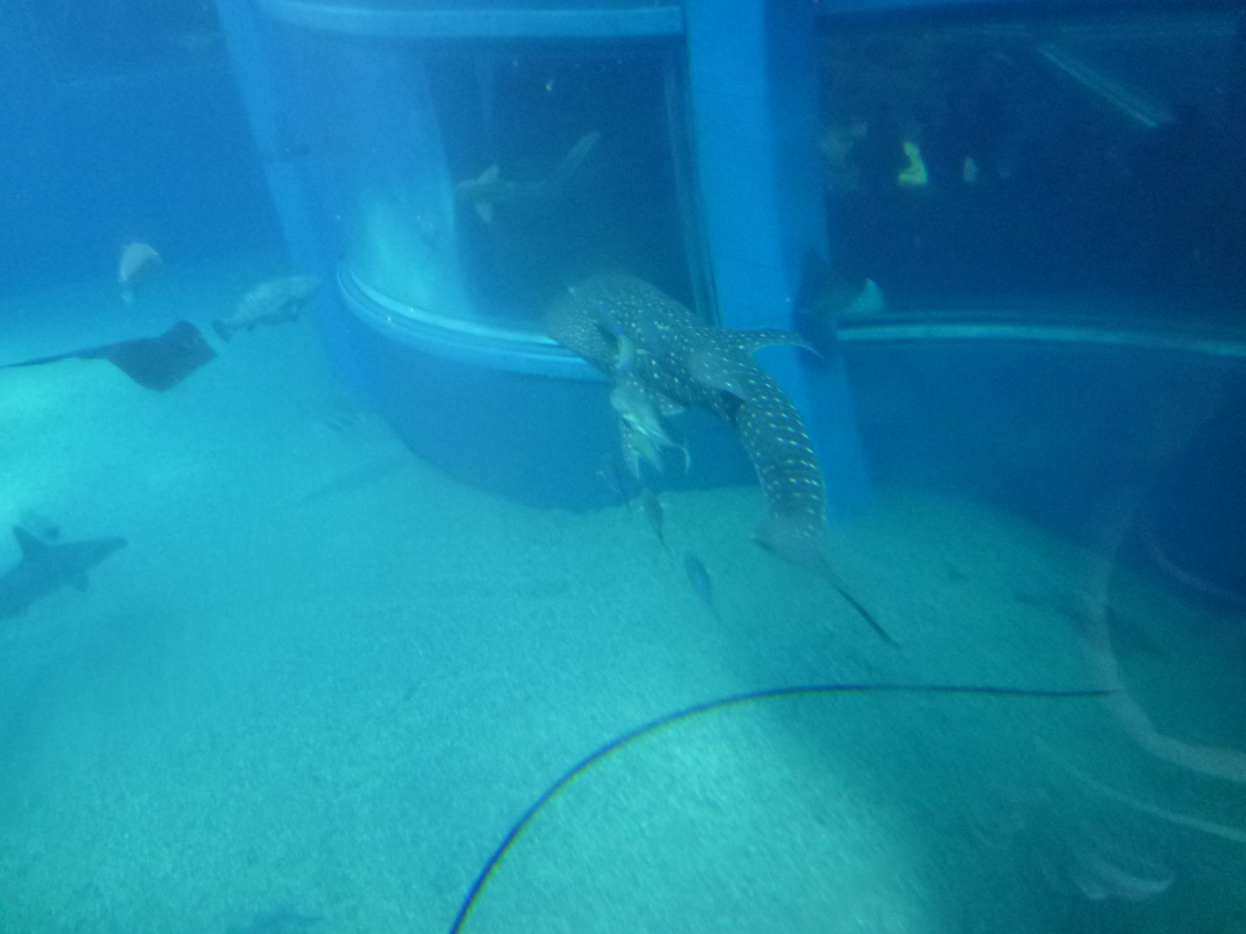 P1020472.JPG