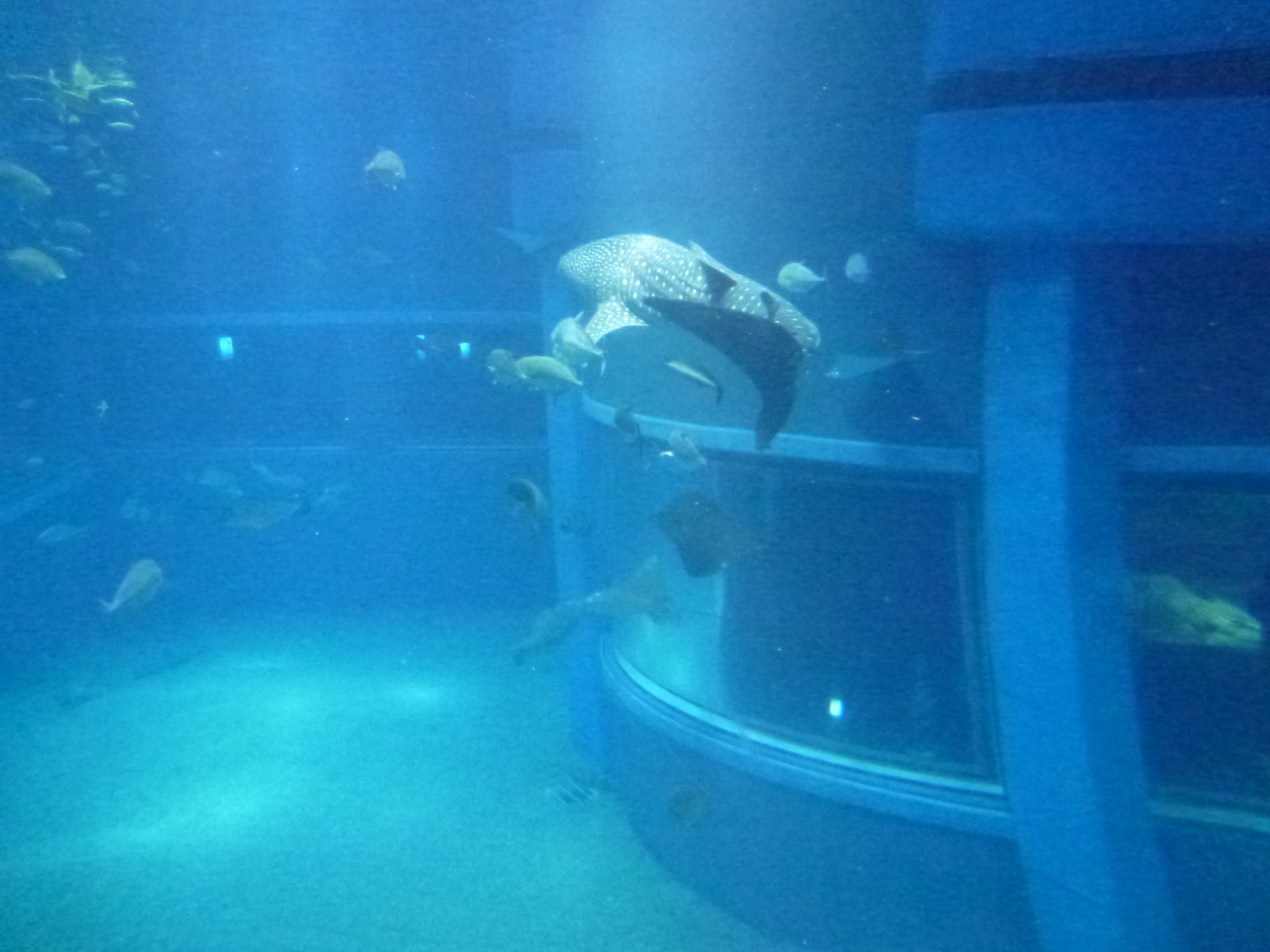 P1020477.JPG