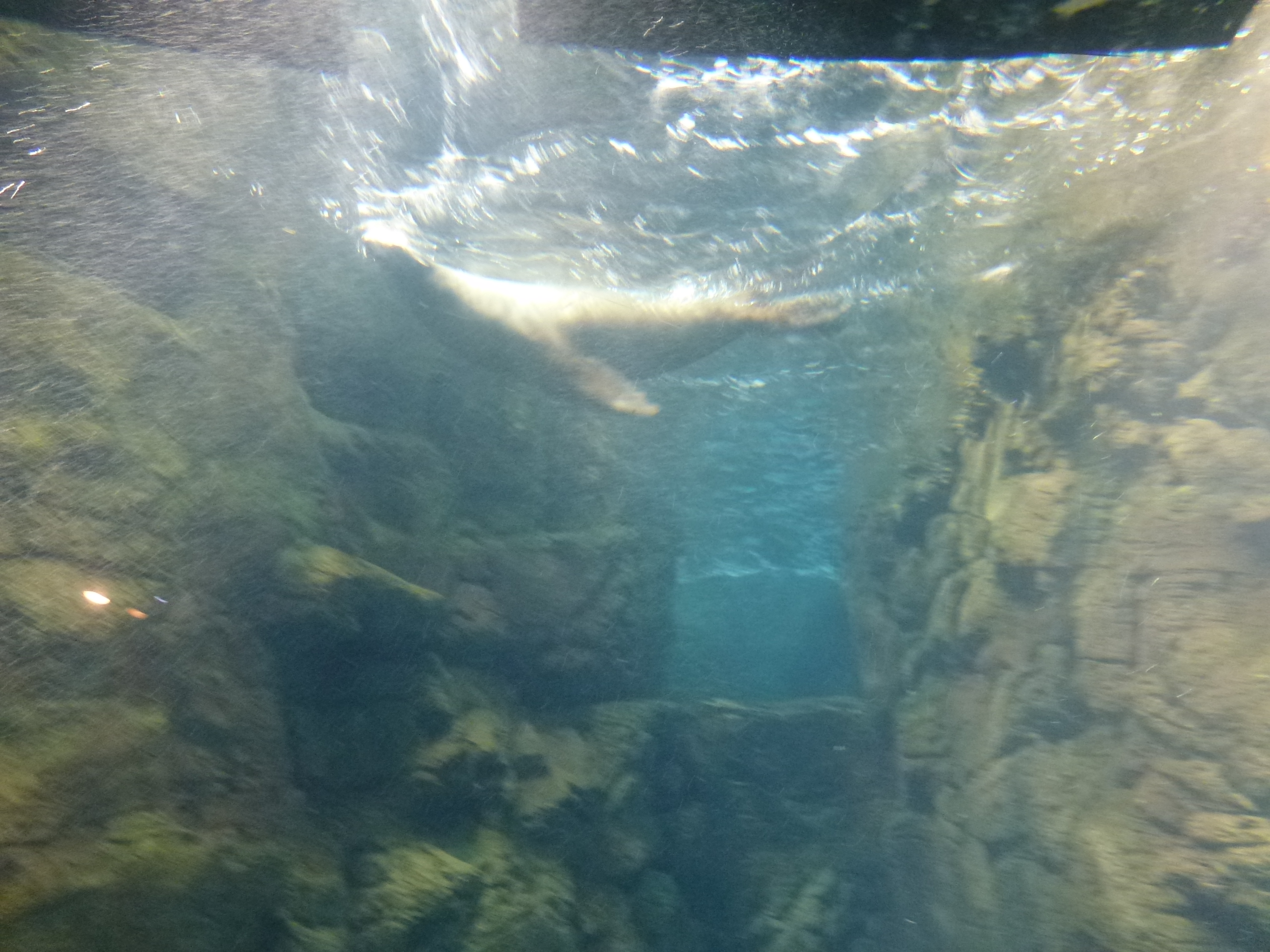 P1020483.JPG