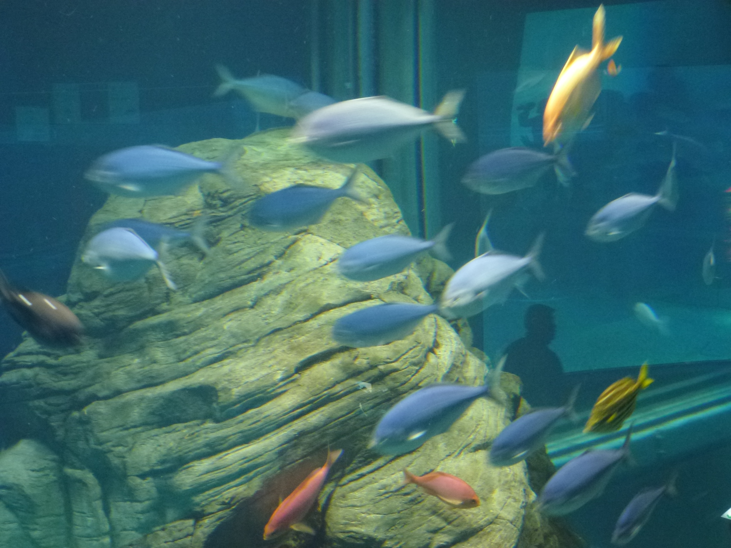 P1020497.JPG