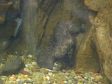 img0006.jpg