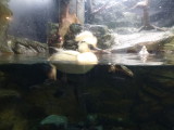 img0010.jpg