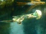 img0012.jpg
