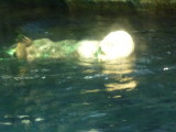 img0015.jpg