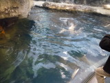 img0023.jpg