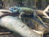 img0030.jpg