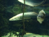 img0032.jpg