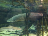 img0033.jpg