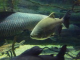 img0034.jpg
