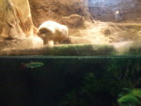 img0036.jpg
