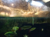img0037.jpg
