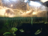 img0038.jpg