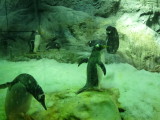 img0040.jpg