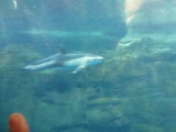 img0042.jpg
