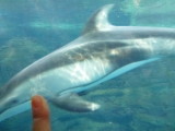 img0043.jpg