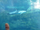 img0044.jpg