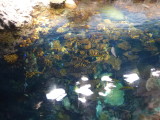 img0046.jpg