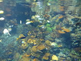 img0049.jpg