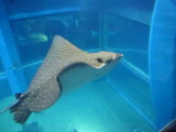 img0053.jpg