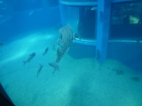 img0056.jpg