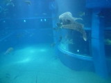img0062.jpg