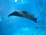 img0067.jpg