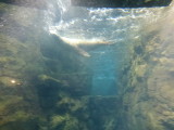 img0068.jpg