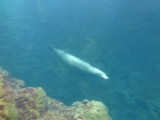 img0071.jpg