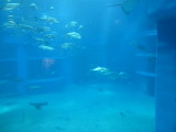 img0074.jpg