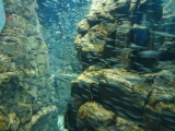 img0078.jpg
