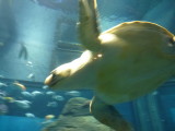 img0082.jpg