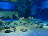 img0088.jpg