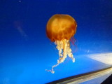 img0104.jpg