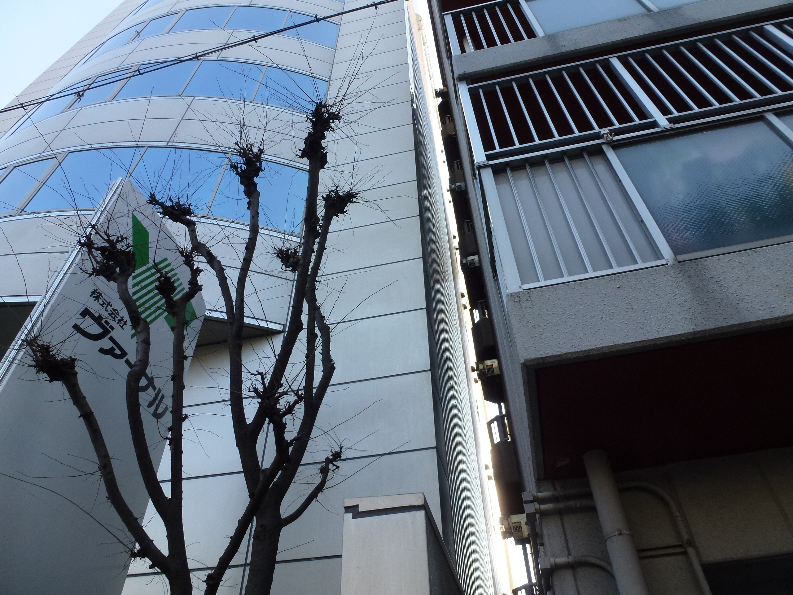 P1020550.JPG