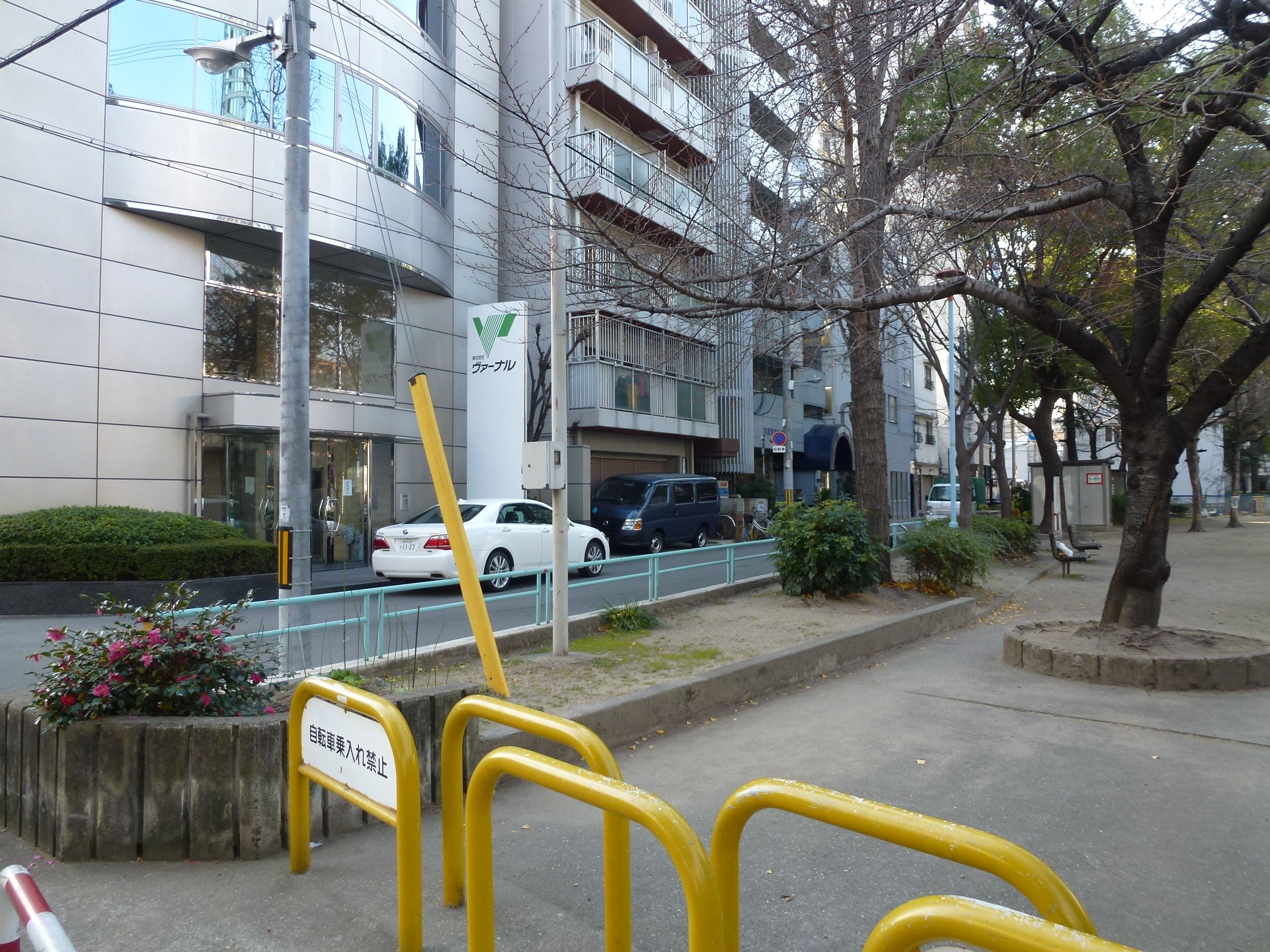 P1020554.JPG