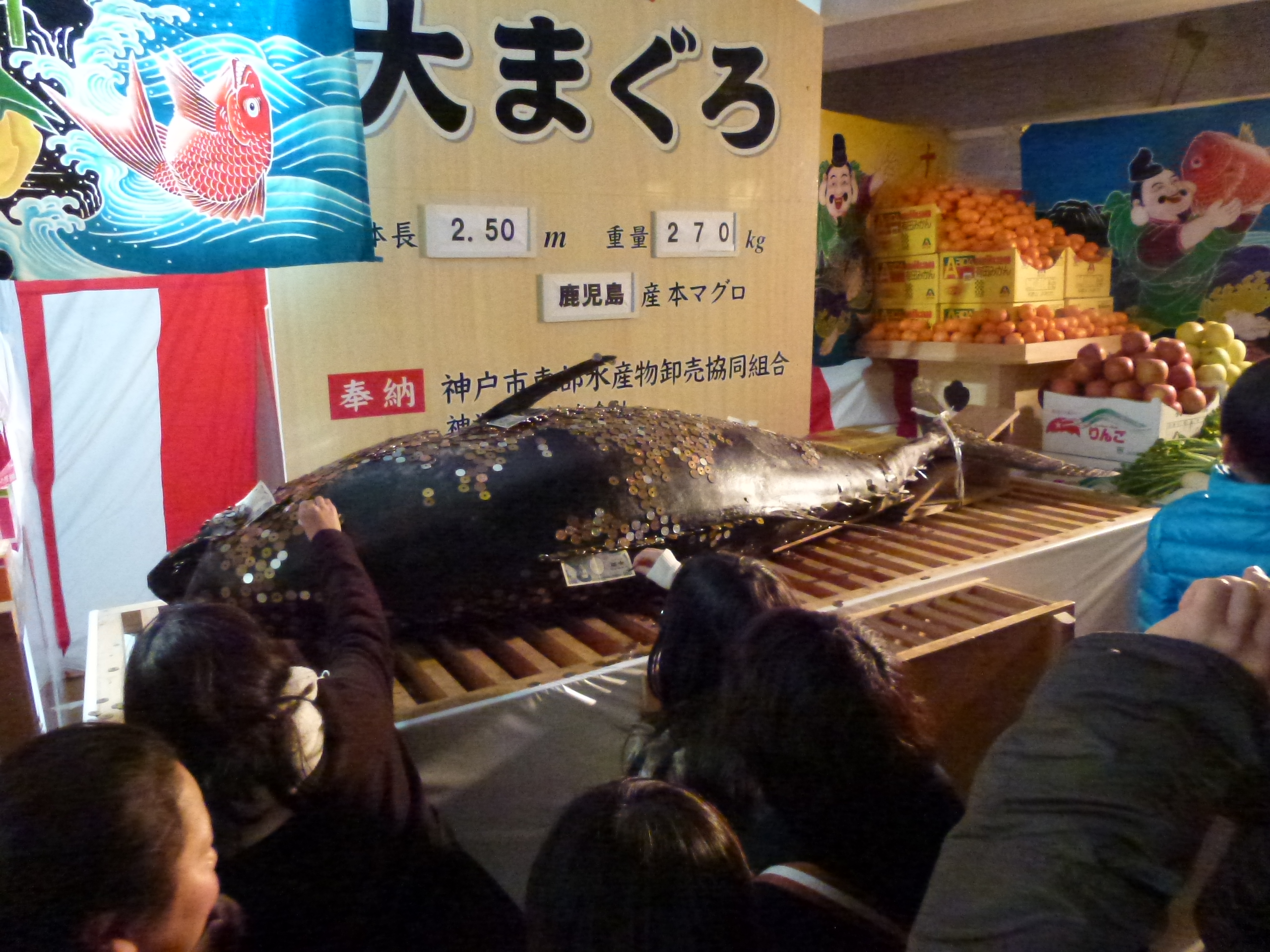 P1020564.JPG