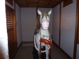 img0016.jpg