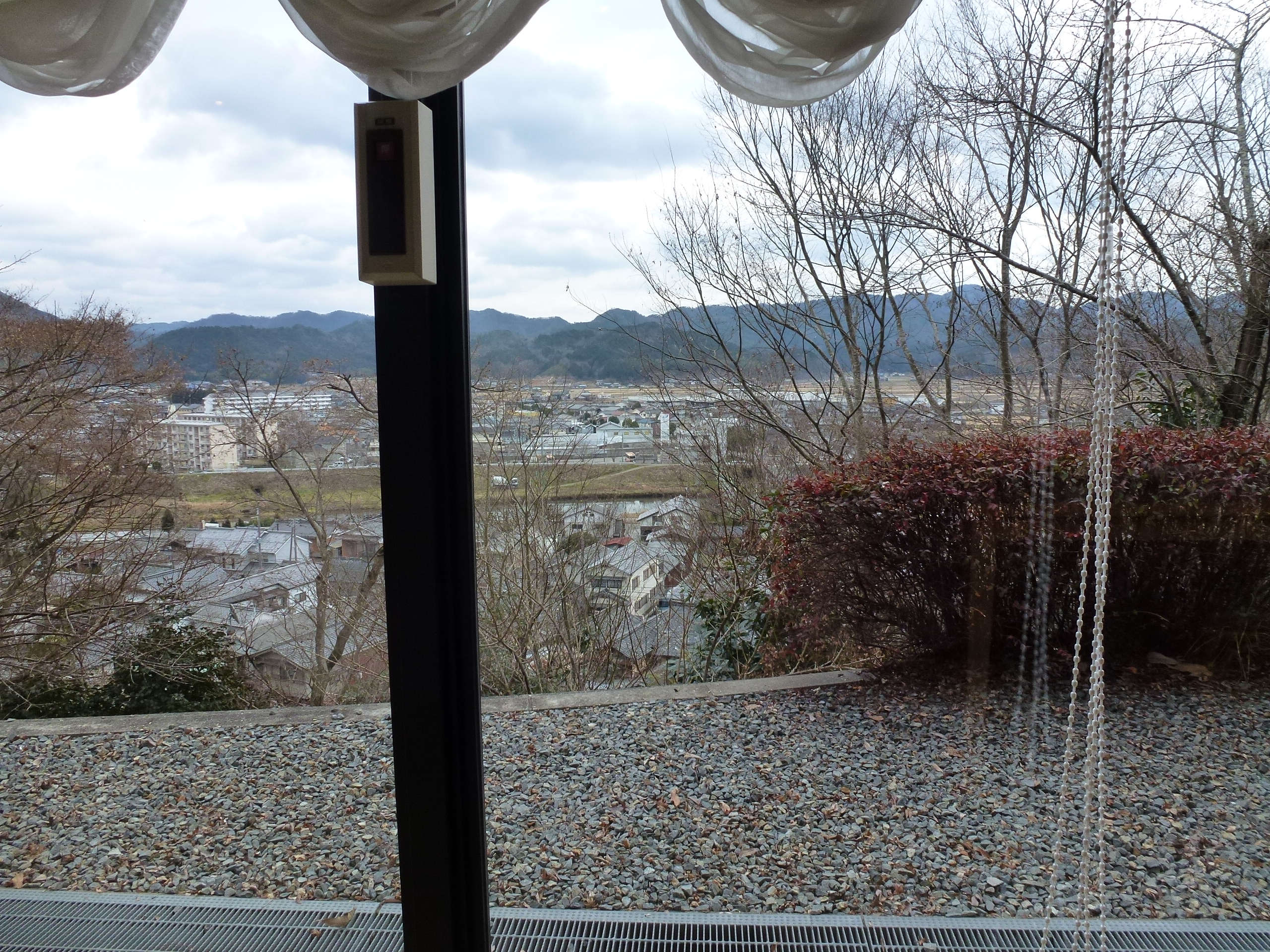 P1020777.JPG